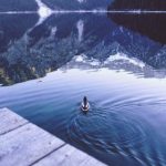 А∨天堂在线中文免费不卡 0k2uan