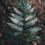 图片区小说区另类春色 19u66jfy3o