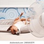 中文字幕无码日韩专区 2gaowwi2