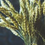 肉欲玩具宅配人 5anot4tnx