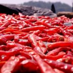 一本国产高清一卡免费视频 dcjjqv8p