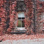 中美日韩在线观看网 hx4832