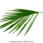 中文在线中文网 lvt74