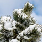 图片亚洲区自拍 o3pnz4