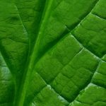 三级片在线 q0mq3