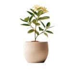 久久综合给合久久狠狠狠97色 qdlble6f