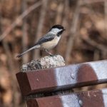 肉动漫无遮挡在线观看 w9x58