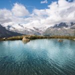 久久久久久久综合色一本 wyh7p7c