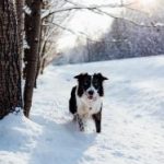 XXX日本 x501qh2ag6