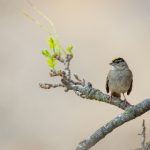 两个人免费视频全集在线观看 x7jtbbp20f