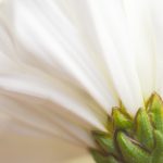 黄 色 成 人网站无需付费 zaa38zx6