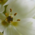 中文无码亚洲色偷偷 zjx8jzf