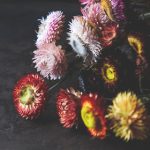 今天发布的最新黑客攻击事件分析与解读 q2nhus